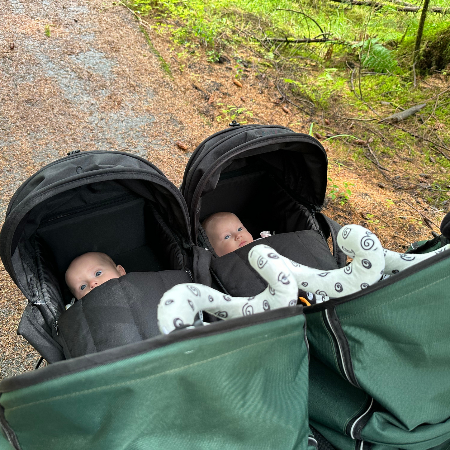 Nipper Double V6 Pushchair