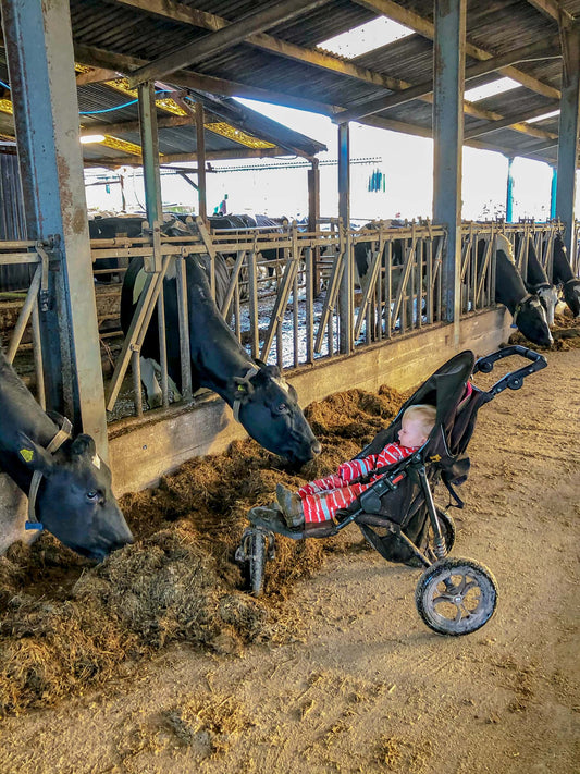 Out’n'About Nipper on the farm
