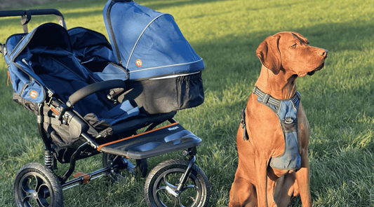 Hitting the Trails with Kids AND Dogs, with the Out n About Nipper V5 Double! @ _dogventures_