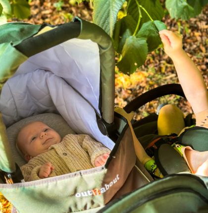 Carrycot Compatible