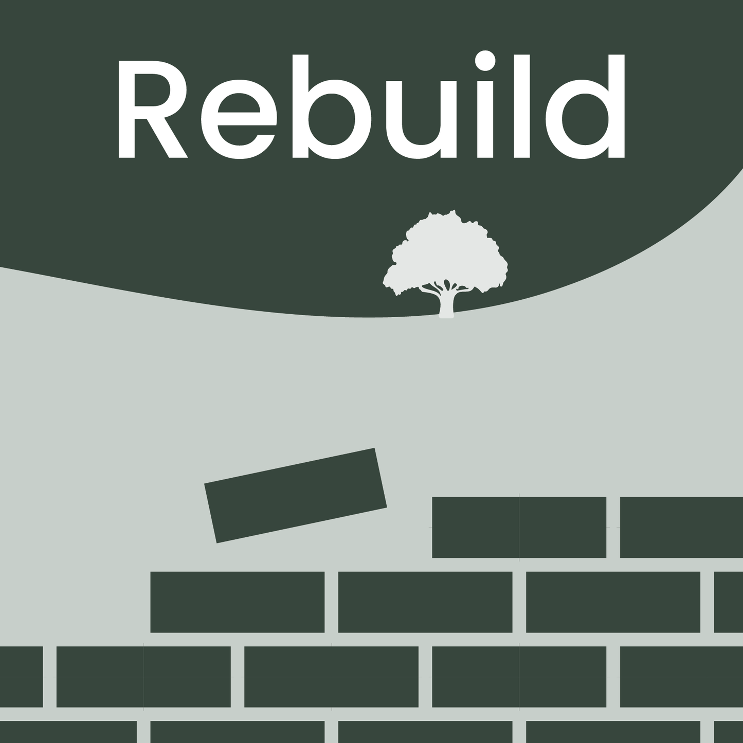 Rebuild