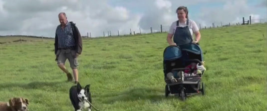 Nipper Double V6 Pushchair